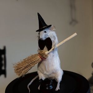 Small Taxidermy Mouse in a Witch Costume with Broom